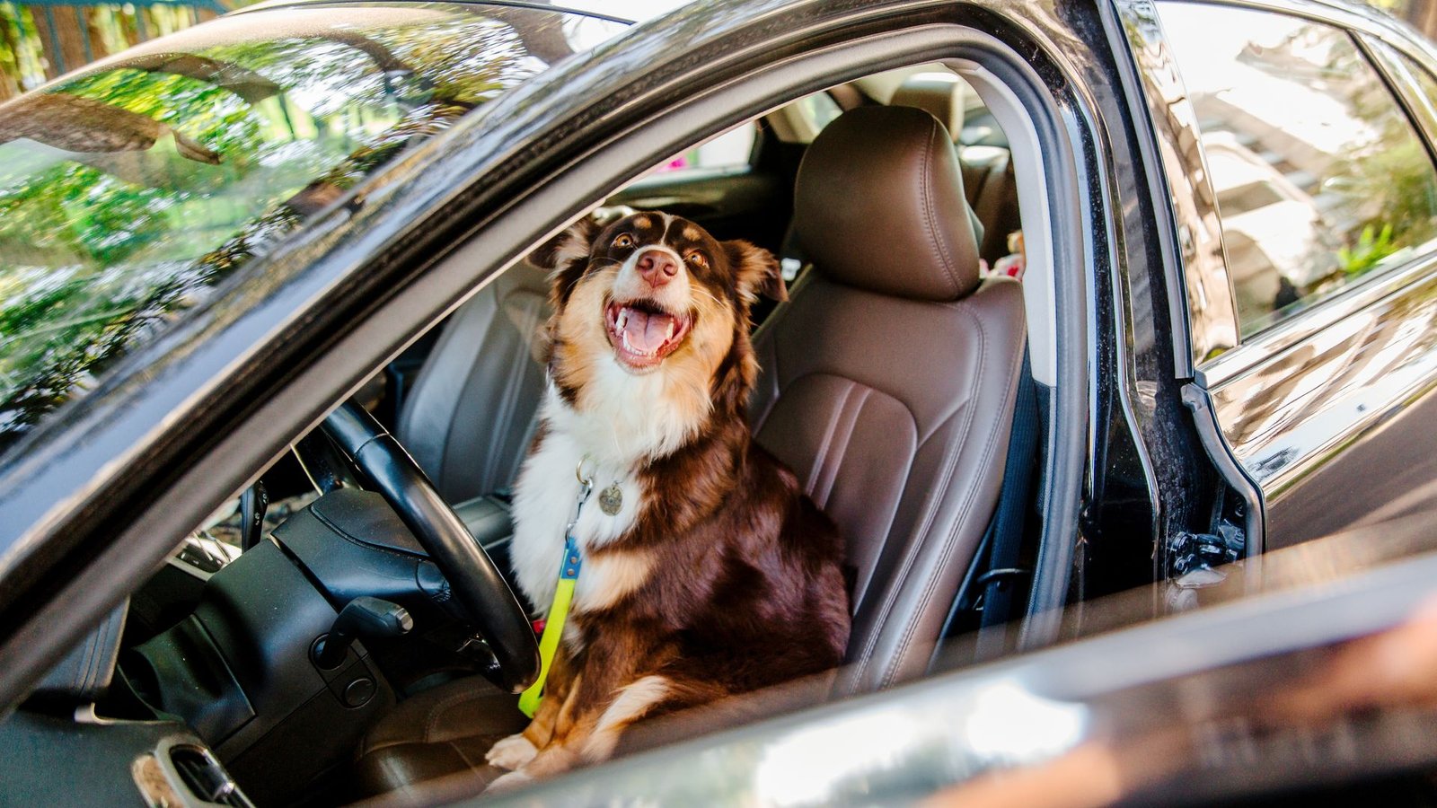 Guia Pet Friendly: Restaurantes de estrada que aceitam cachorros.