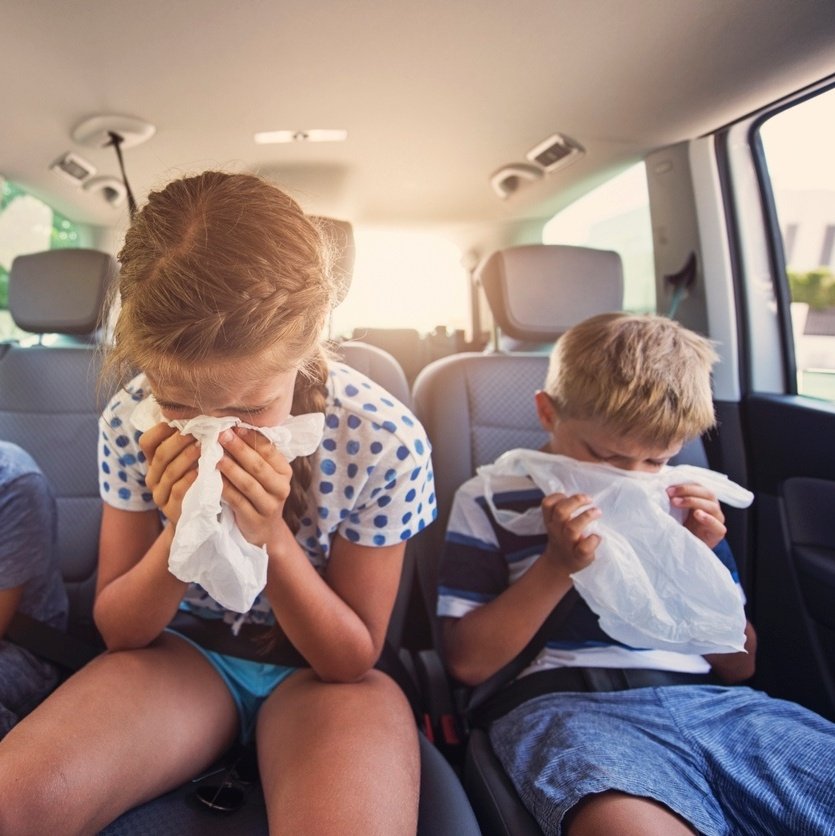 Dicas para evitar enjoos de crianças em viagens de serra